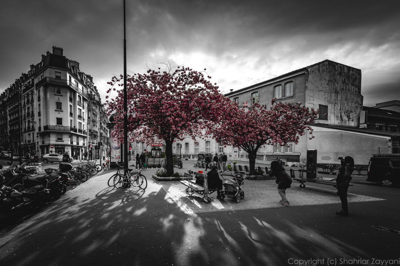 Falguiere, Paris || f/9 || 1/80 s || ISO100 || 10 mm || Nikon D7200 || 2021 || Shahriar ZAYYANI