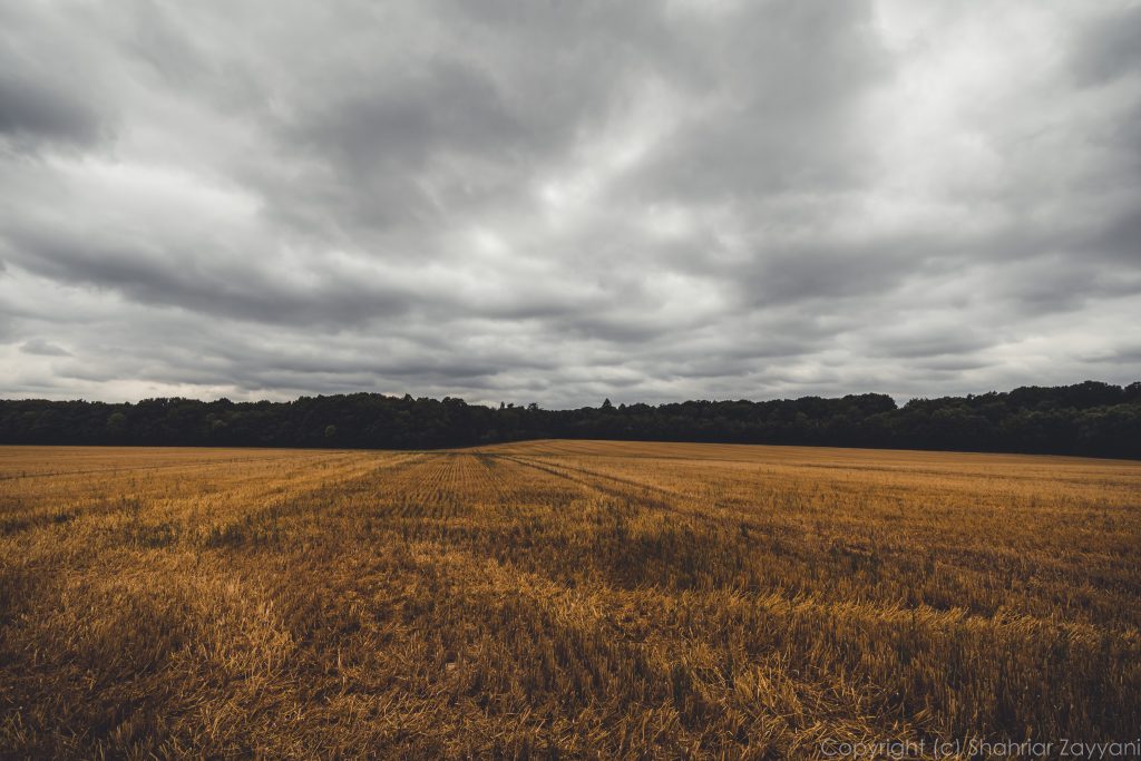 Chou, France || f/10 || 1/160 s || ISO100 || 10.0 mm || Shahriar Zayyani