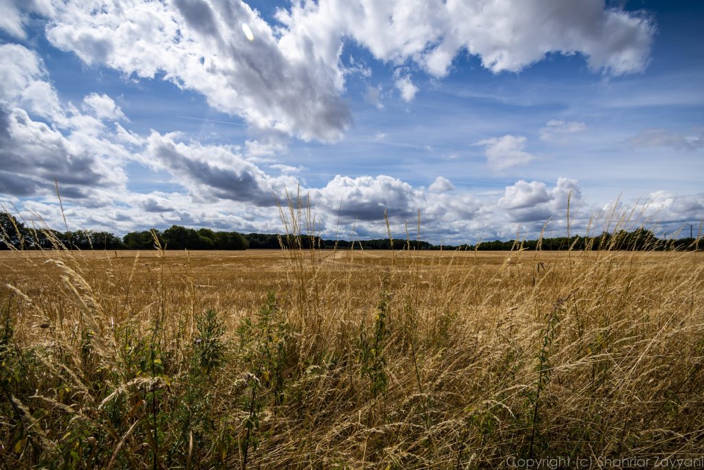 Choue, France || f/11 || 1/200 || ISO100 || 10 mm || Nikon D7200 || 2020 || by Shahriar Zayyani